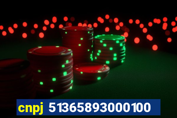 cnpj 51365893000100